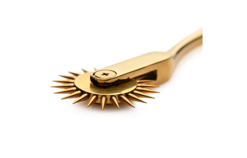 Gold Sensation Wartenbergrad Gold – Reizen Sie Ihre Sinne