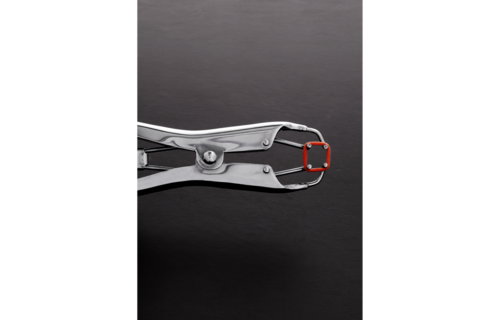TT2002 Tit Torture Pliers – Ultimate Pain & Pleasure for Nipples