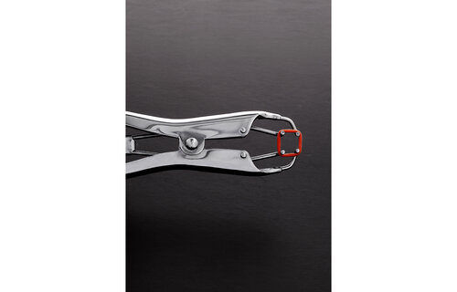 Tietmarteltang TT2002 – Ultiem Pijn & Plezier voor Tepels