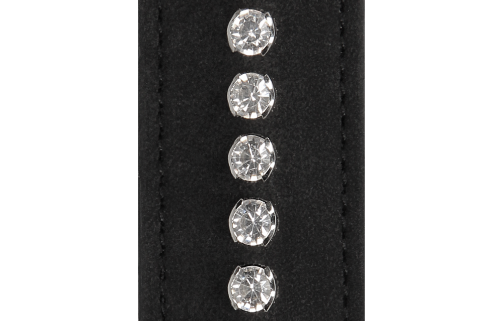 Diamantbesetzte Peitsche