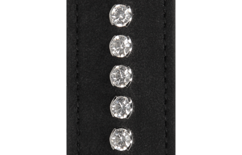 Diamanten Studded Whip