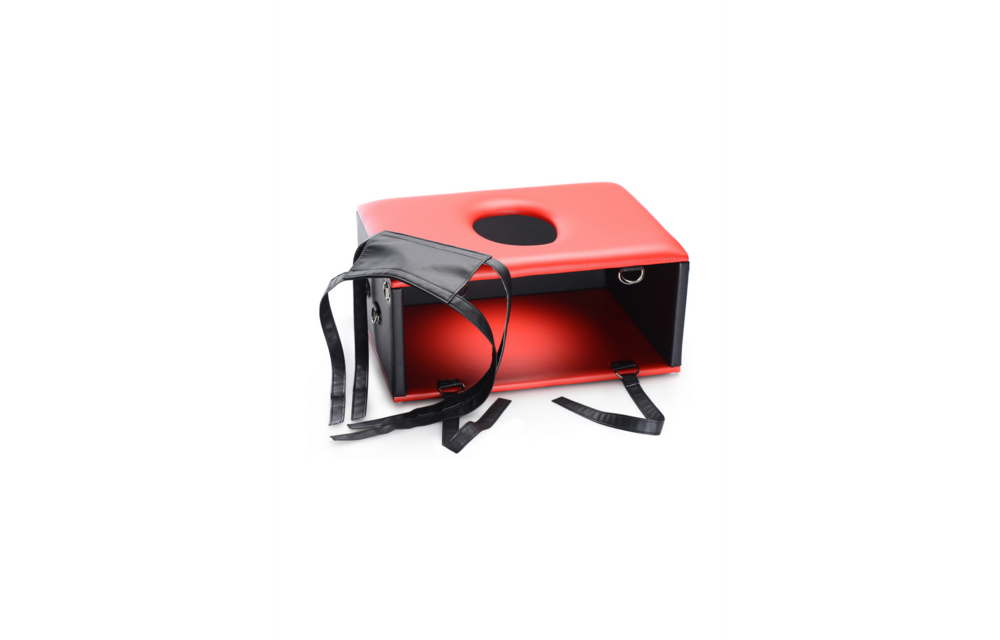 Queening Chair - Ultimate Facesitting & BDSM Sex Furniture