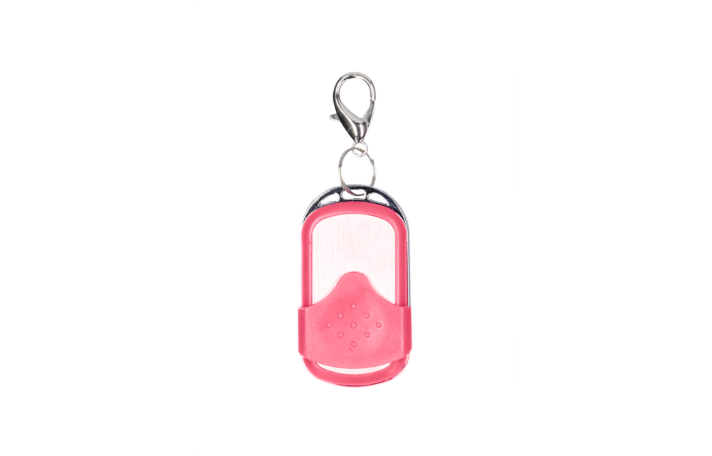 Vibrating Bullet with Remote Control