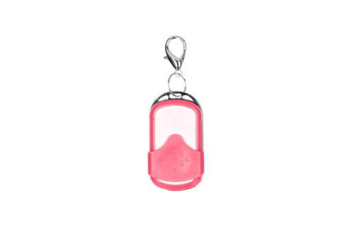 Vibrating Bullet with Remote Control