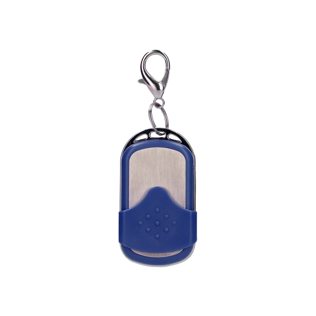 Vibrating Egg Blue 10 Speeds & Remote Control L