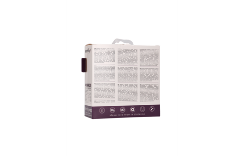 Vibrerend Ei Paars met 10 Snelheden & Afstandsbediening L