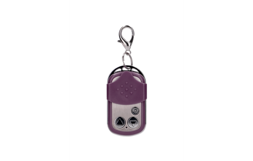 Vibrating Egg Purple with 10 Speeds & Remote Control L