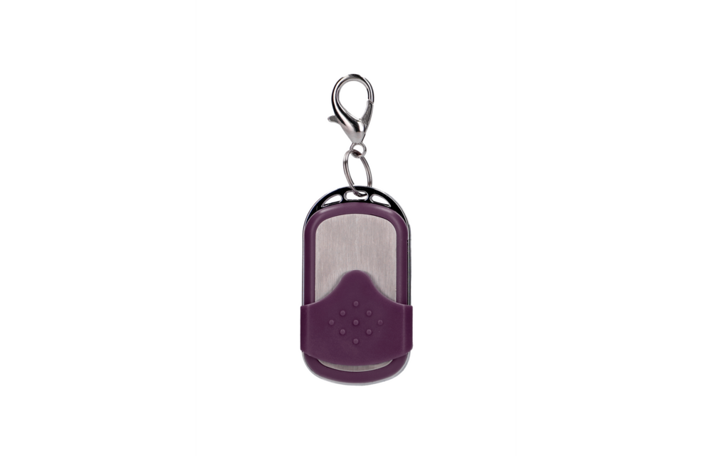 Vibrating Egg with 10 Speeds and Remote Control - L - Purple