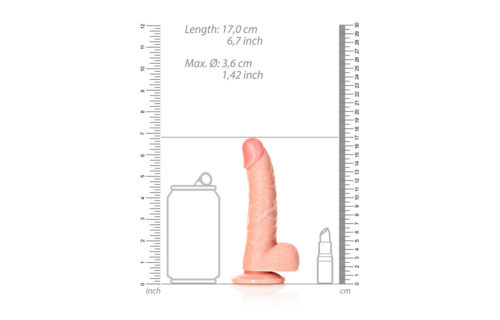 Curved Realistic Dildo with Balls and Suction Cup - 6 / 15,5 cm