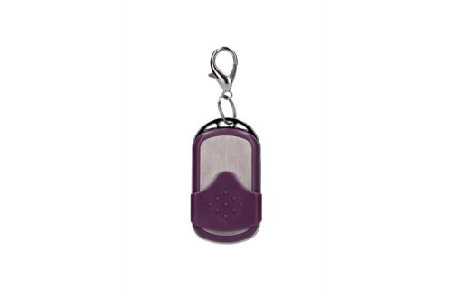 Kabelloses Vibrations-G-Punkt-Ei