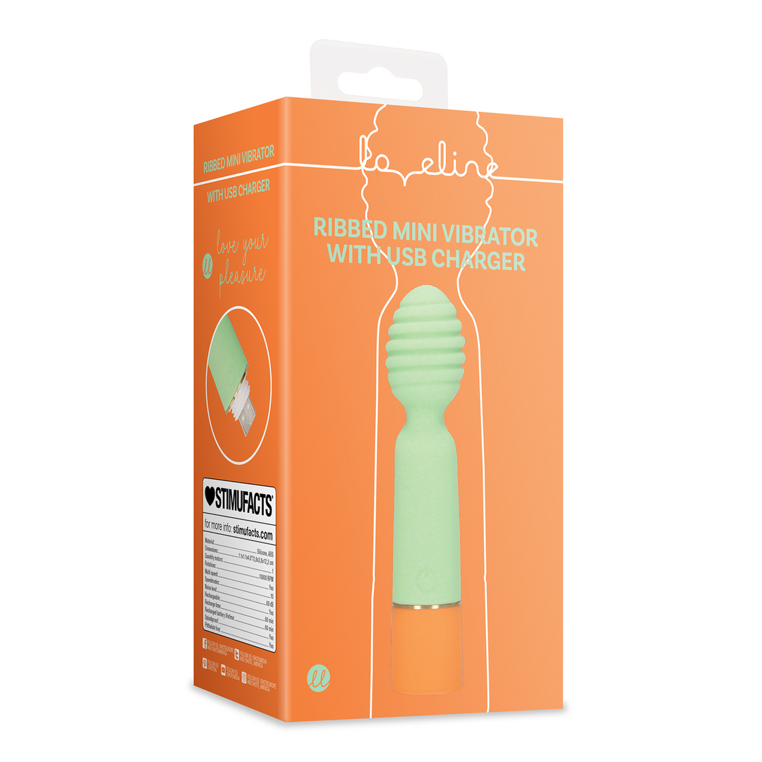 Geribbelde Mini Vibrator Lente Salie USB Oplader Compact