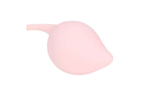 Pelvic Floor Training Set Multicolour | Loveline Pelvic Stem Kit