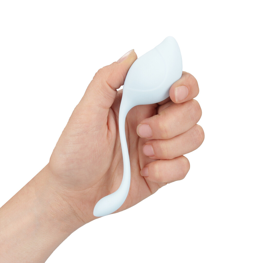 Pelvic Floor Training Set Multicolour | Loveline Pelvic Stem Kit