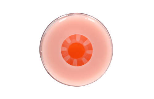 Easy Rider Masturbator Skin Colour – Realistic & Ribbed