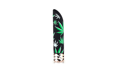 Jane Mini Bullet Vibrator – Krachtige Luxe & 25 Modi