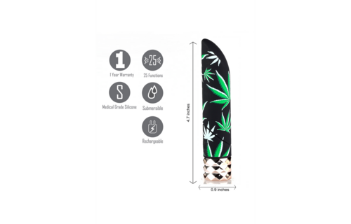 Jane Mini Bullet Vibrator – Leistungsstark, luxuriös und 25 Modi