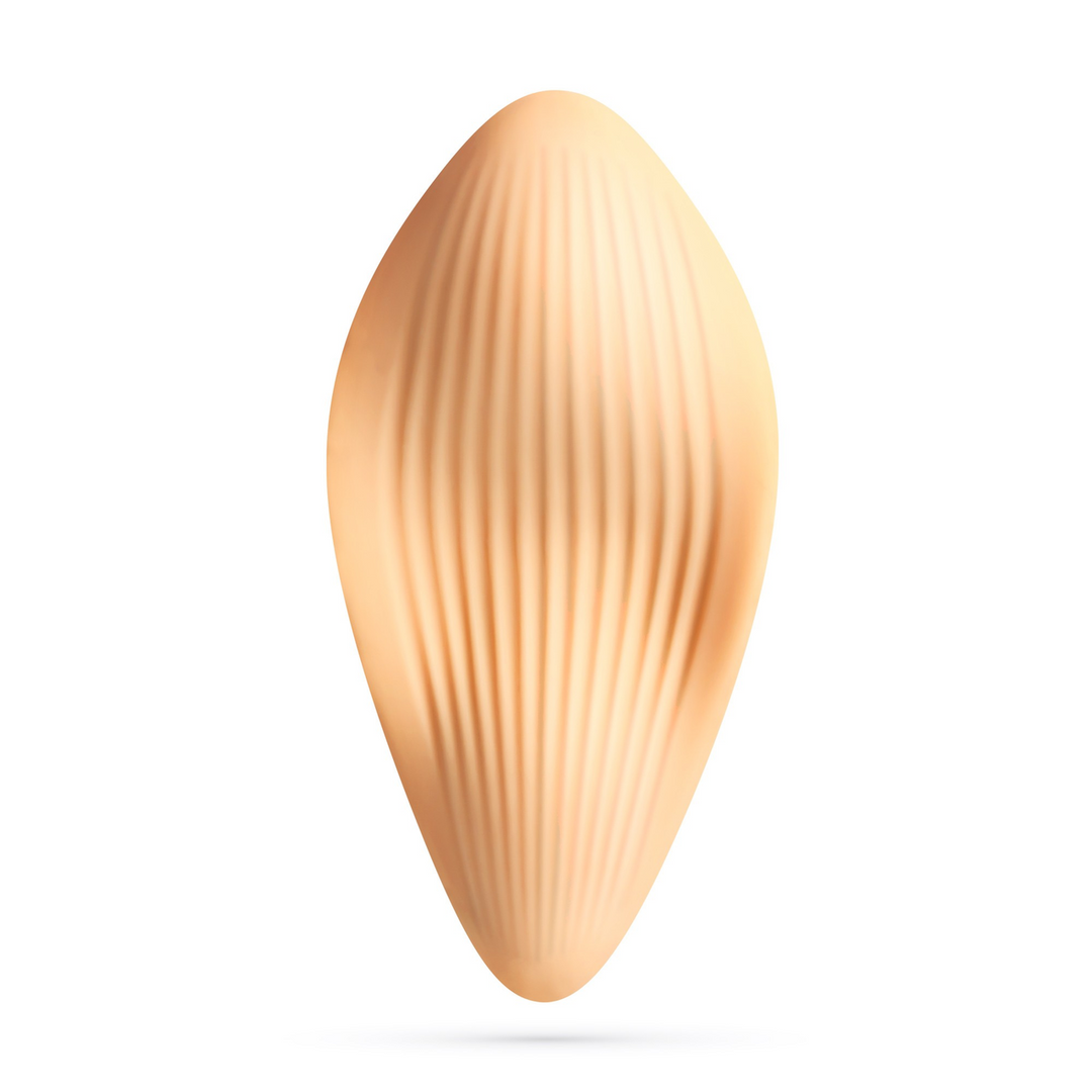 Atlantis Panty Vibe Orange - Discreet & Powerful With Remote Control