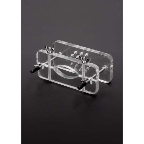 Ball Butcher acrylic cock ring with spikes – ultimate pressure & visibility