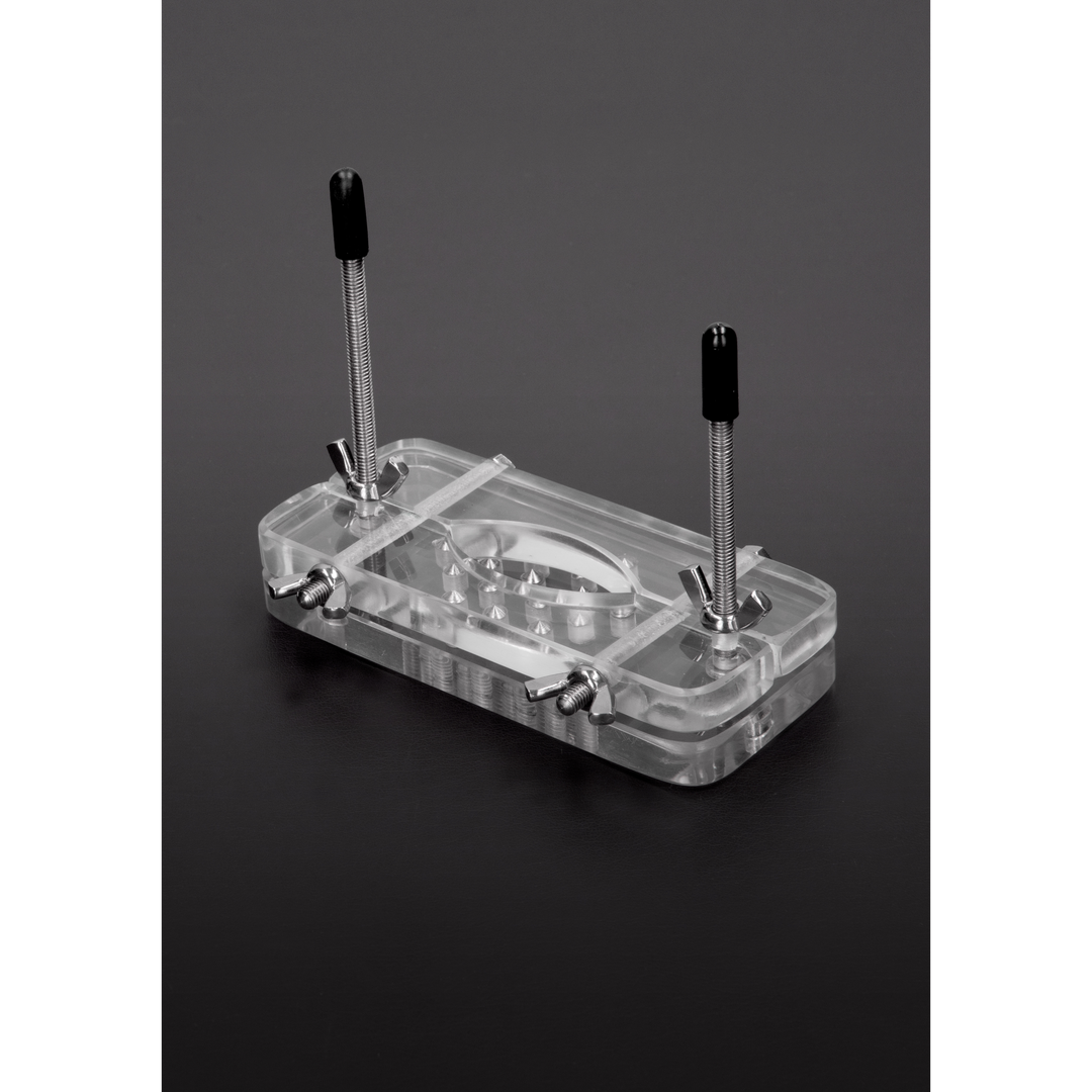 Ball Butcher acrylic cock ring with spikes – ultimate pressure & visibility