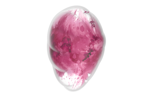 Cloud Dancer - Rode Print