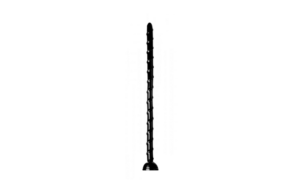 Vertebral Snake 48.3 cm – Long, Thin & Sensational!