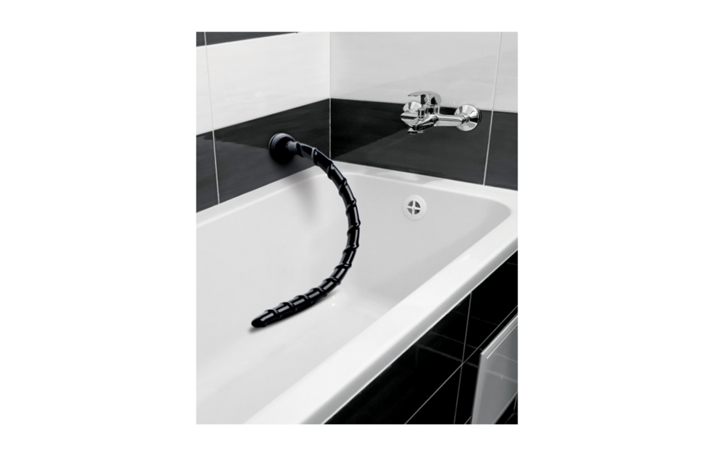 Vertebral Snake 48.3 cm – Long, Thin & Sensational!