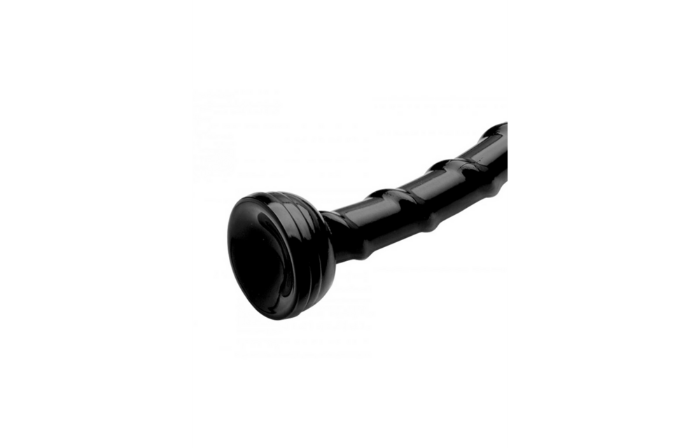 Vertebral Snake 48.3 cm – Long, Thin & Sensational!