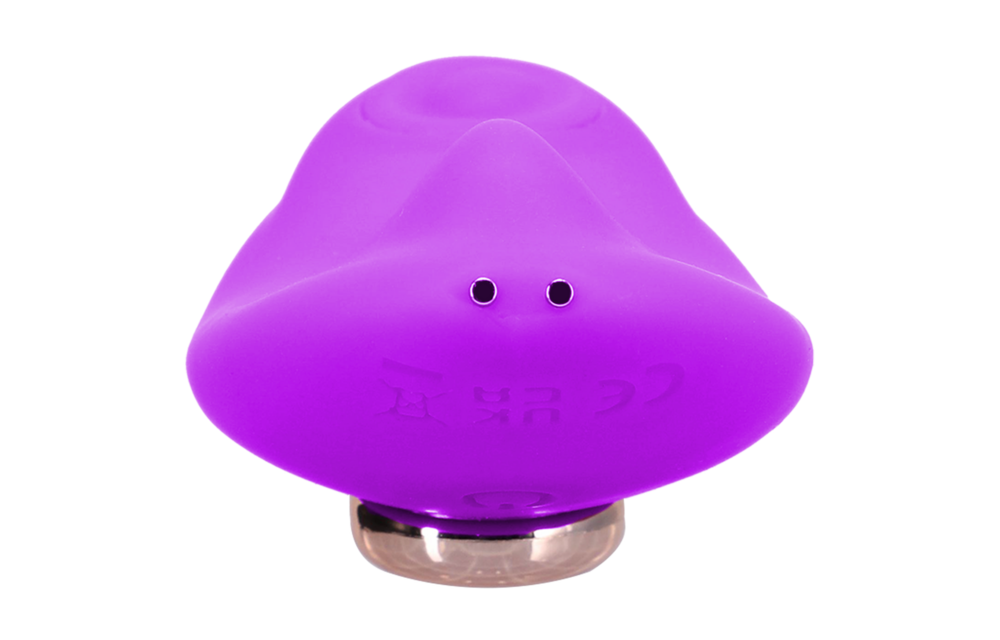 Magnetic Panty Vibe Purple - Discreet Pleasure & Remote Control