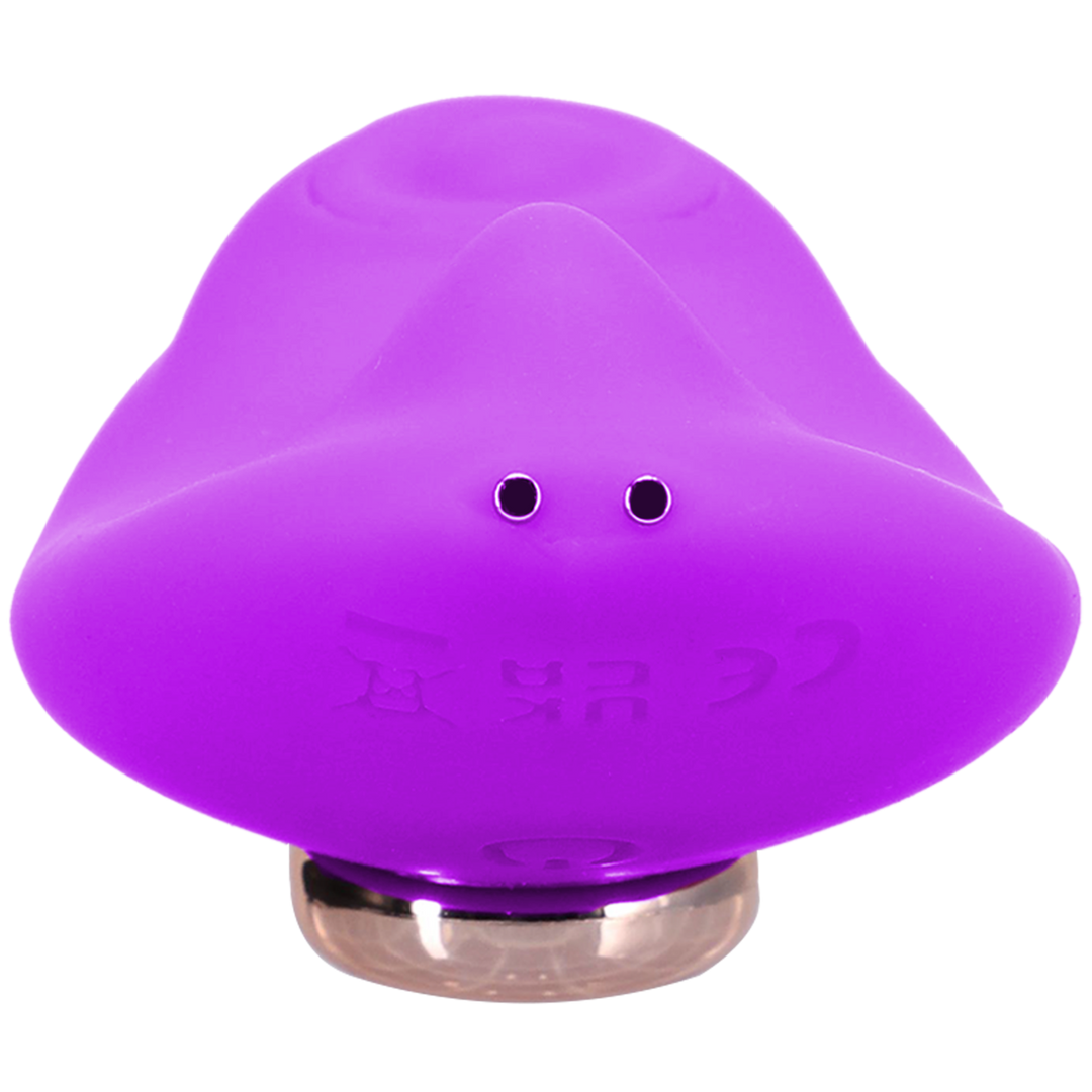 Magnetic Panty Vibe with Remote - Purple