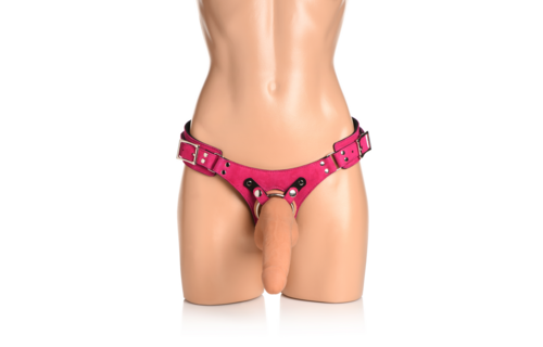 Bodice Deluxe Paars Leren Korset Harnas 19 cm – Stijlvol & Comfortabel