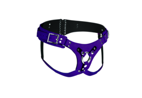 Bodice Deluxe Lederkorsett-Harness Lila 25 cm – Luxus & Komfort