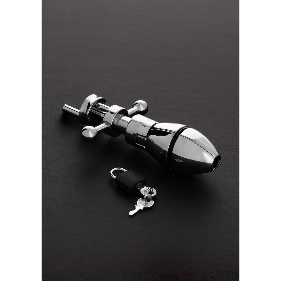 The Ultimate Asslock