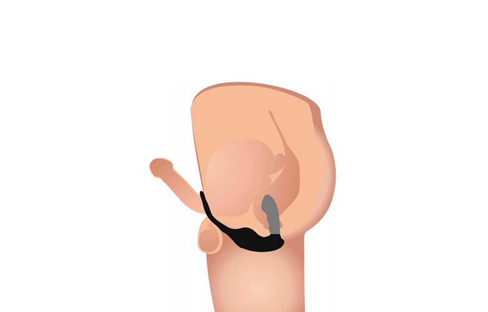 Milking and Vibrating Prostate Massager + Harness with 7 Speeds