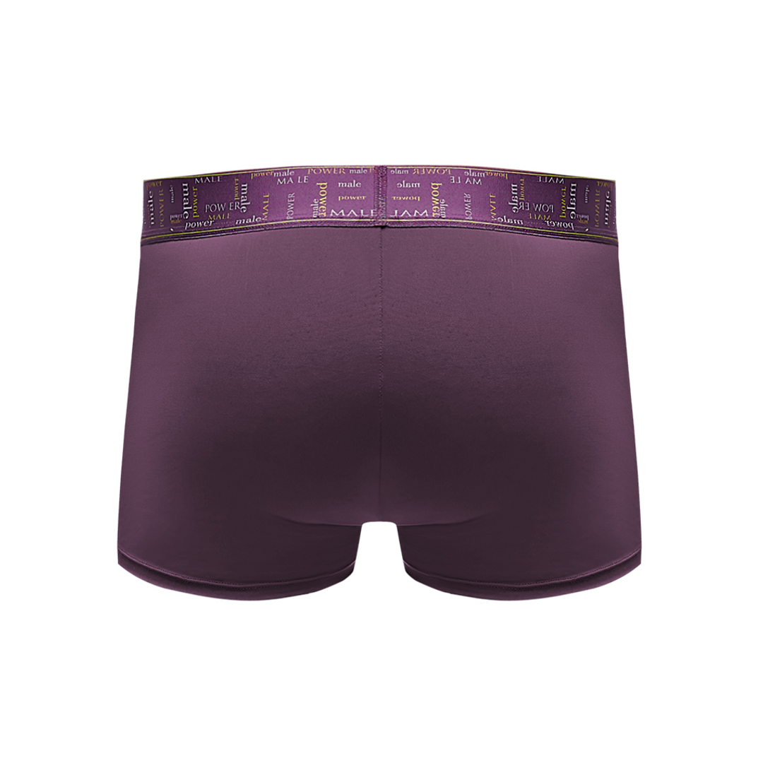 Enhancer Short - XL - Aubergine