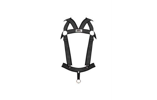 Elastic Harness With Studs Black - Cool & Adjustable | Male Power