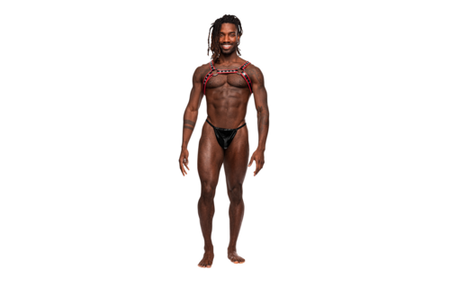 Leo Imitation Leather Harness Black/Red | Cool & Adjustable