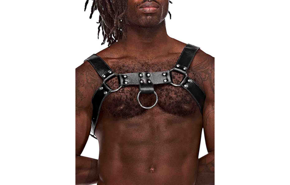 Aries - Imitation Leather Harness - One Size - Black