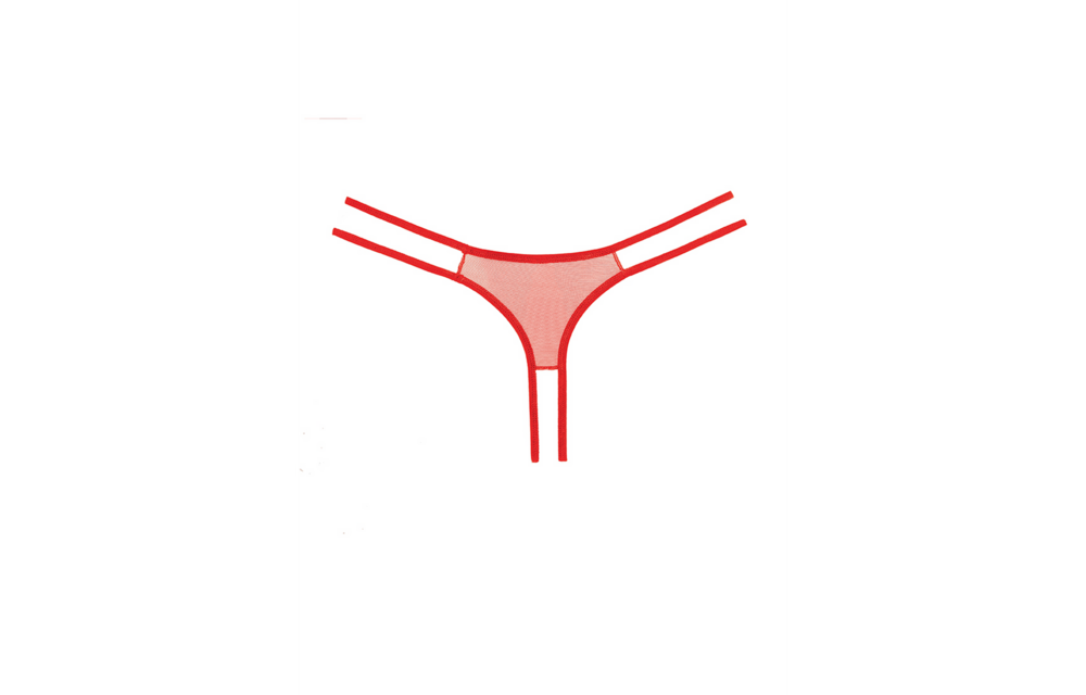 Sweet Honey Slipje Rood - Verleidelijke Kanten Panty One Size