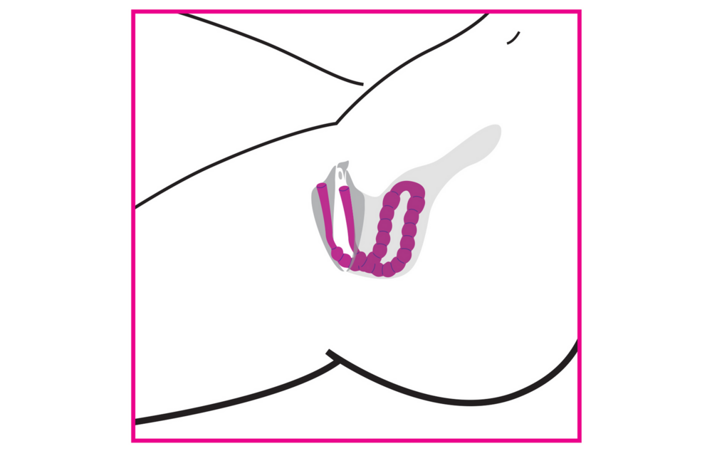 Petal Pusher Silicone Labia Spreader – Ultimate Pleasure