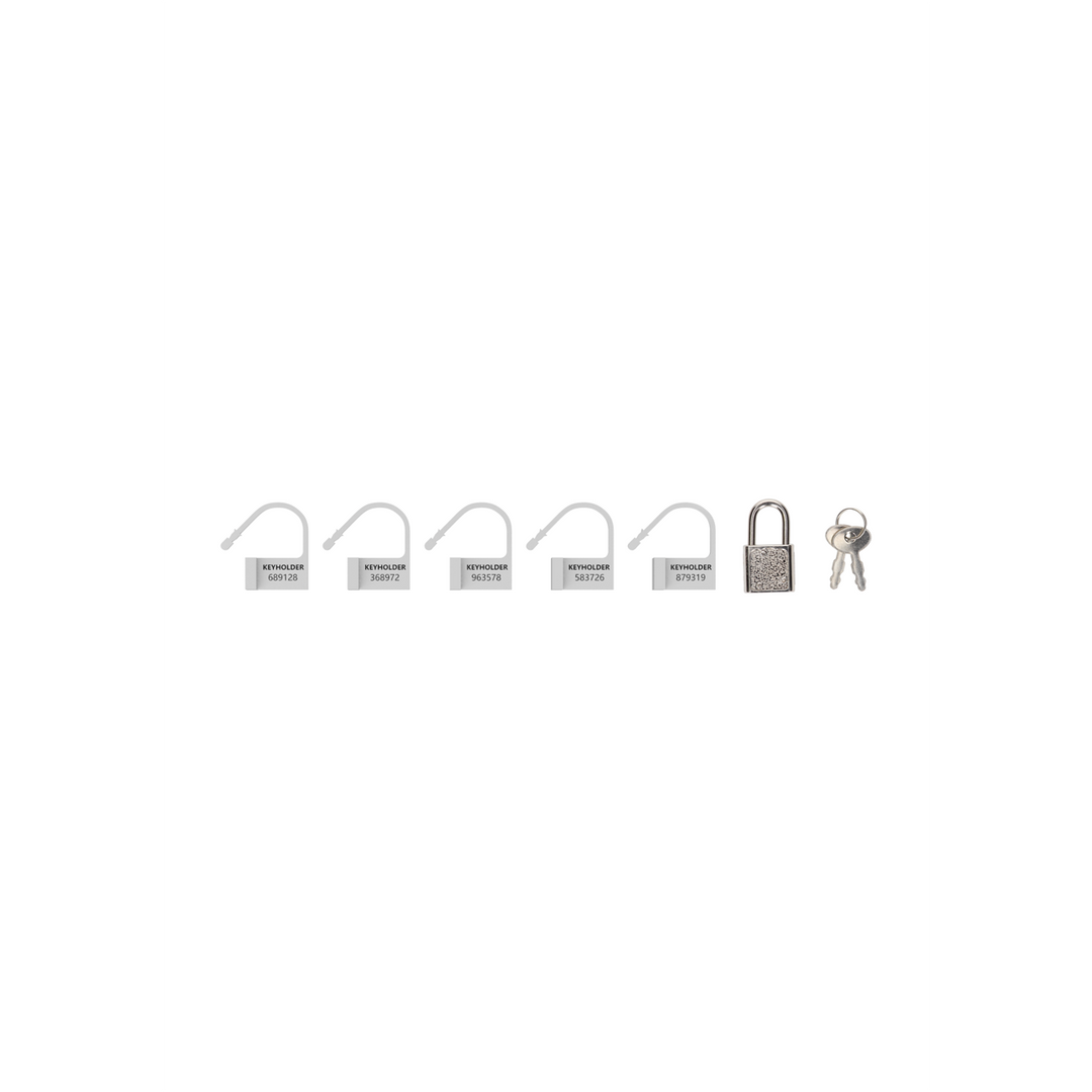 Spare Lock Mancage – 5 White Locks + Strong Padlock