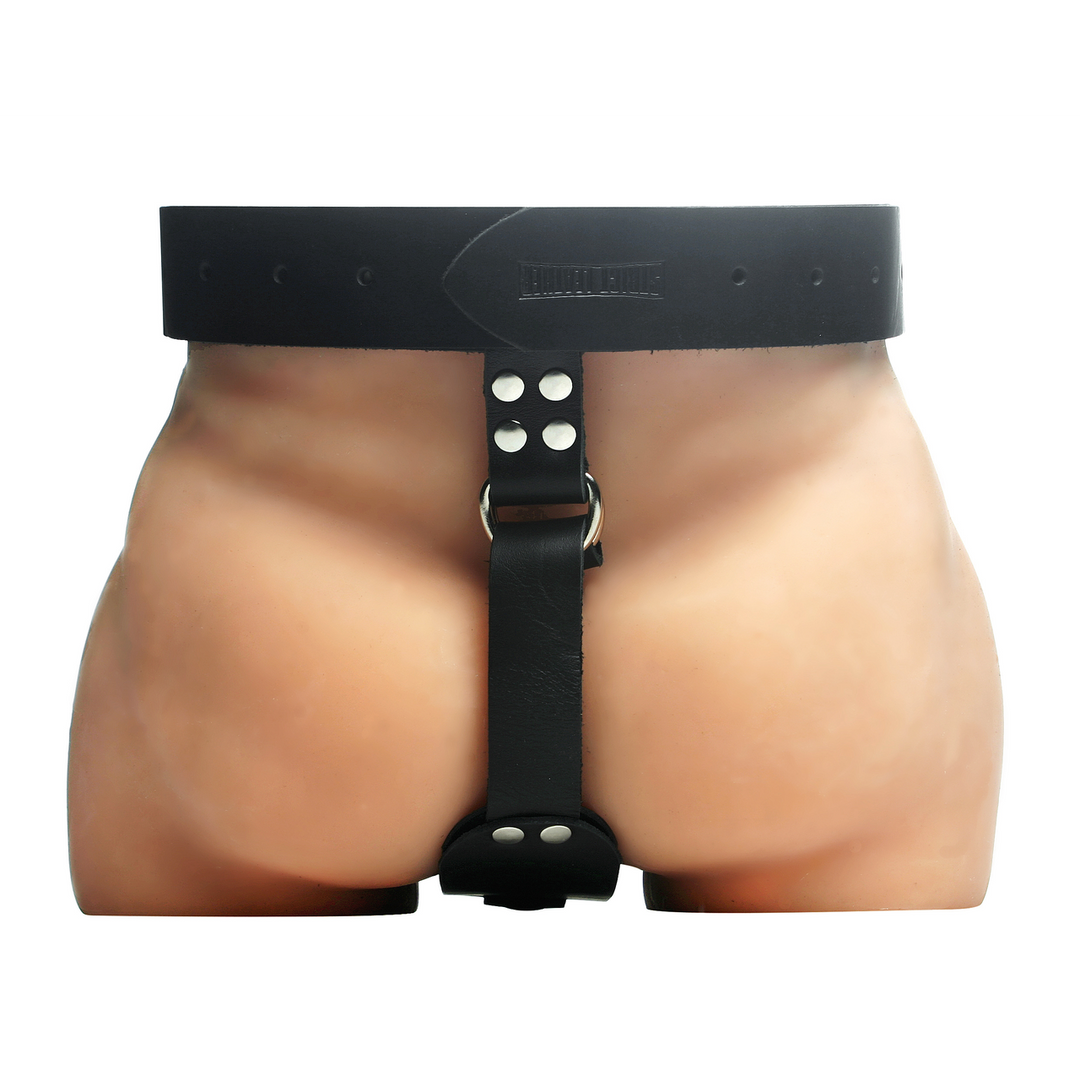 Butt Plug Harness Men | Erection & Anal Pleasure Xr Brands