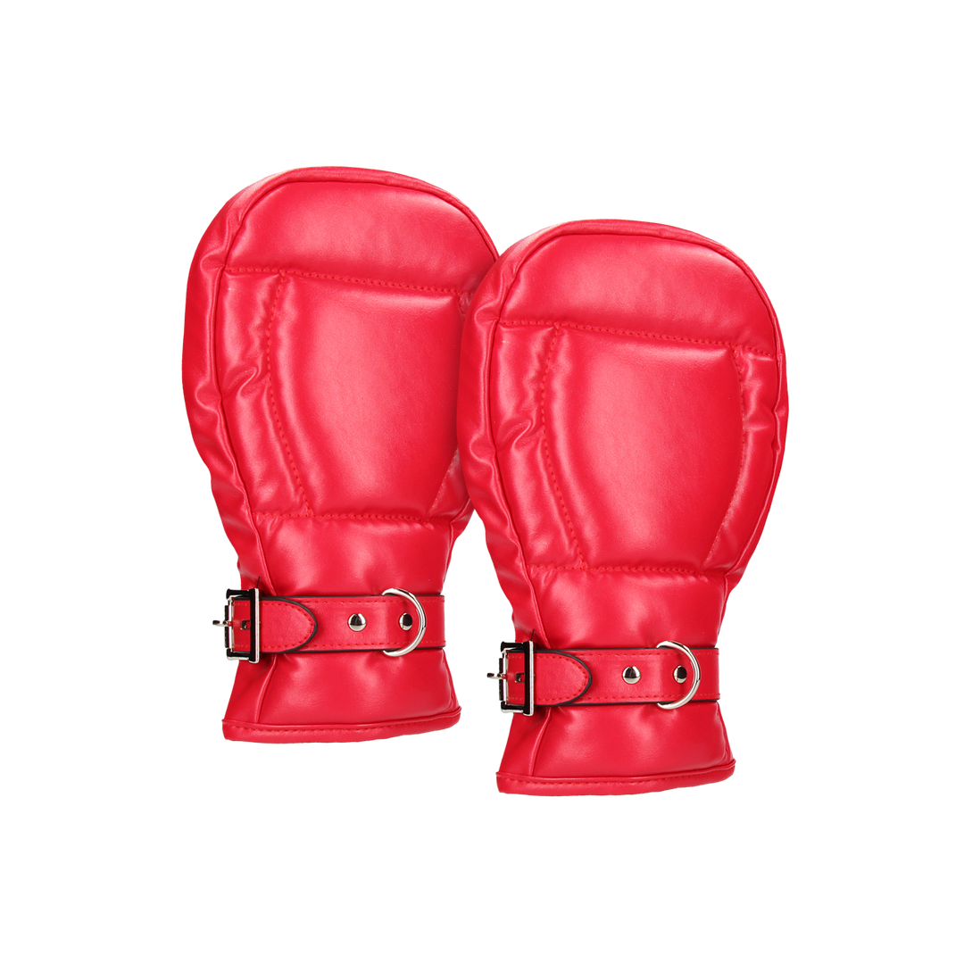 Neopren-Hundehandschuhe