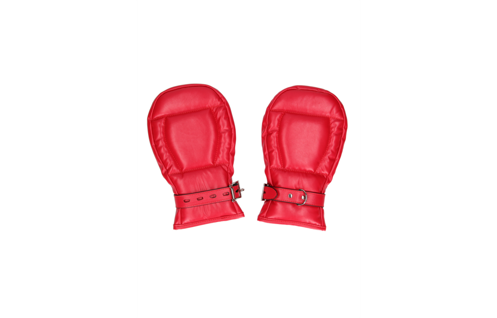 Neoprene Dog Gloves | Comfortable Training for Puppies