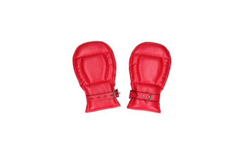 Neopreen Hondenhandschoenen