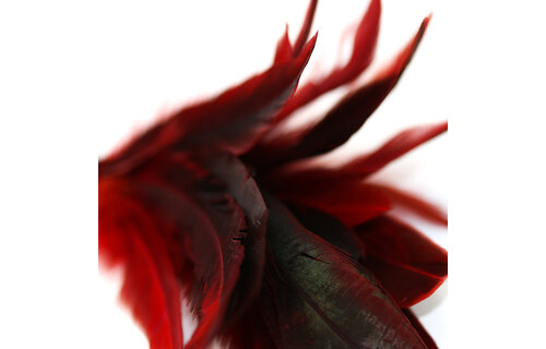 Feather Crop Paddle 60 cm | Veganes PU-Leder Spanking Paddle