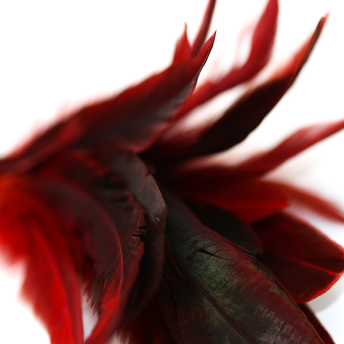 Feather Crop Paddle 60 cm | Vegan PU Leather Spanking Paddle