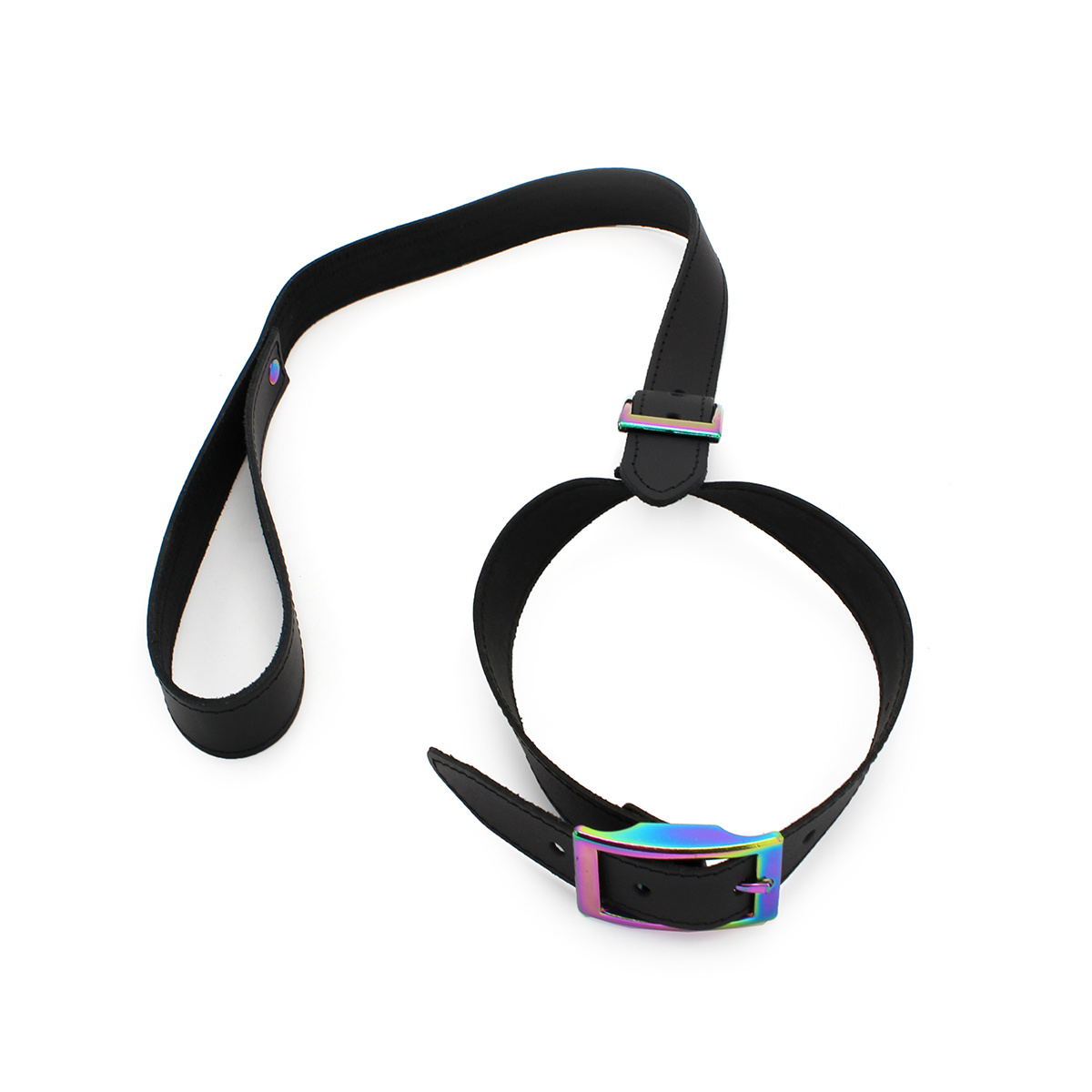 Lederhalsband & Gürtel Rainbow – Verstellbar & stilvoll