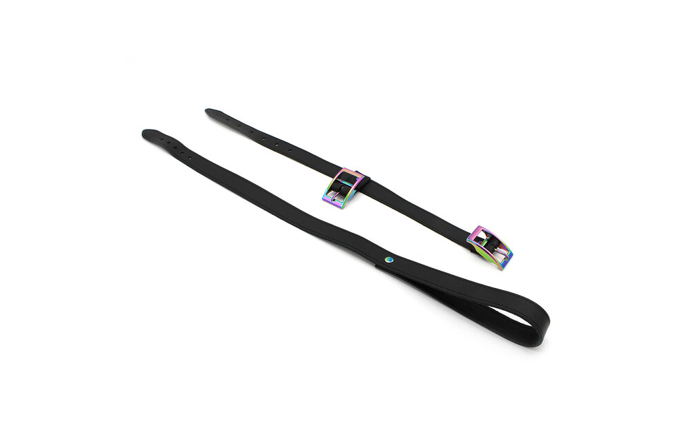 Leren Halsband & Riem Rainbow – Verstelbaar & Stijlvol