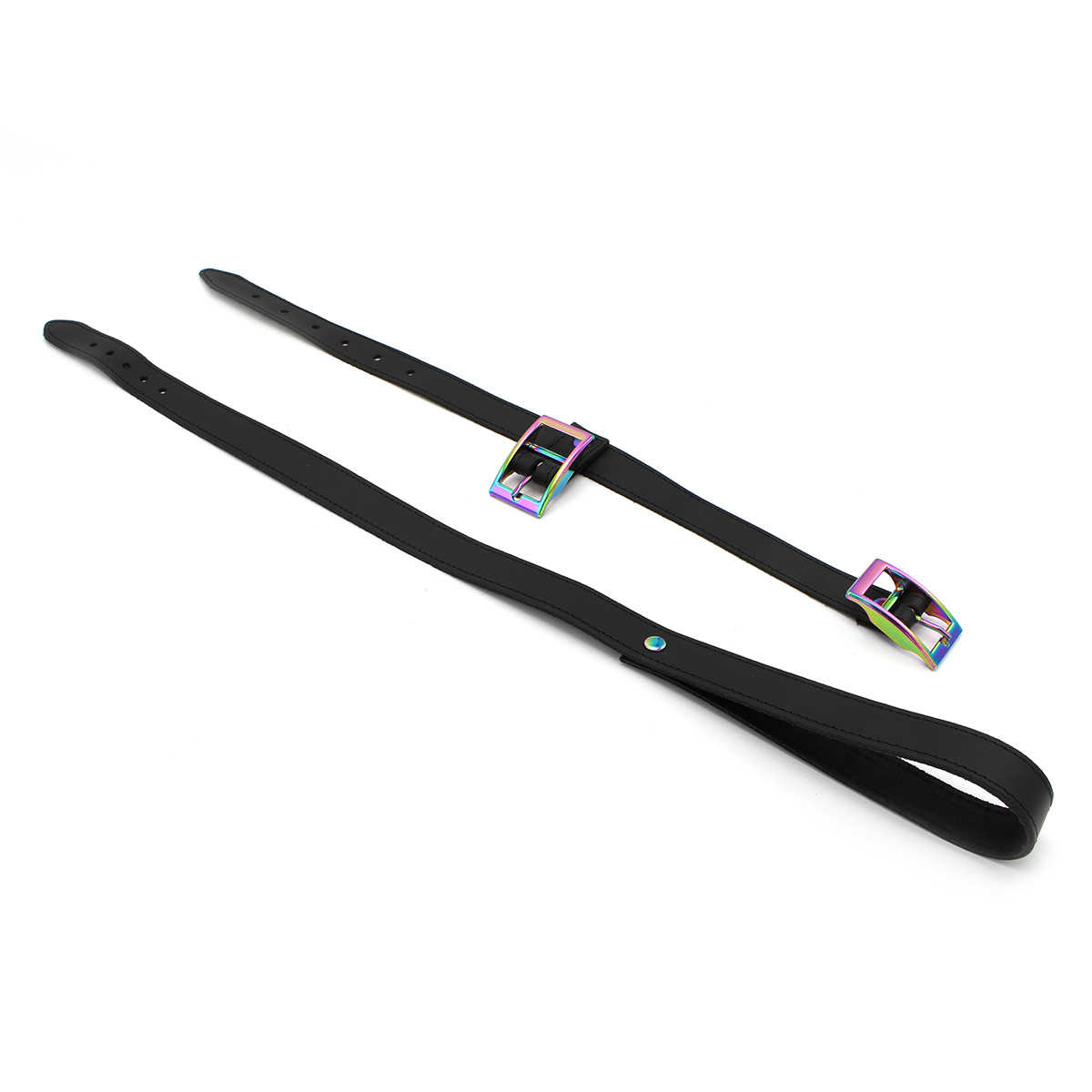 Leren Halsband & Riem Rainbow – Verstelbaar & Stijlvol