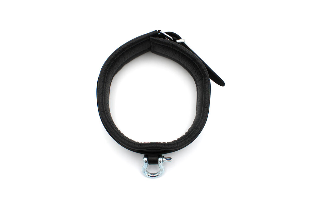 Schwarzes Leder-BDSM-Halsband mit Metallbügel | Kiotos Leather
